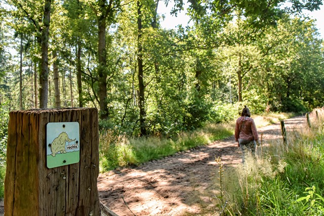 wandelroute markering van een olifant met een wandelaar op een zandpad.