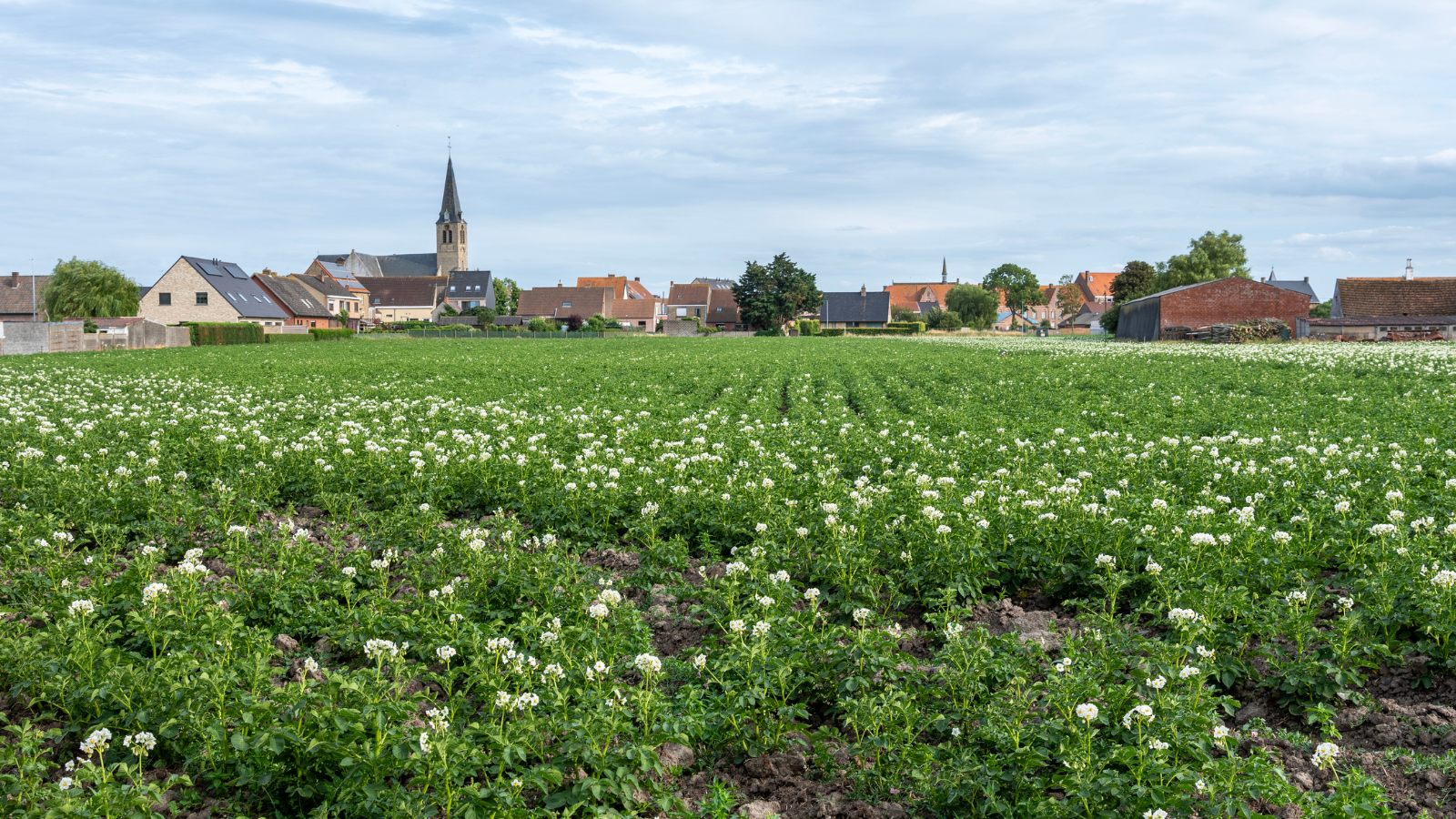 Wandelen in Vlaams-Brabant – De mooiste wandelroutes in Vlaanderen ...