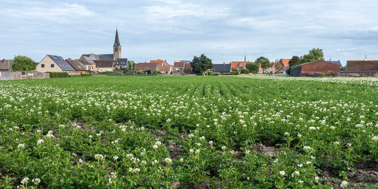 Wandelen in Vlaams-Brabant – De mooiste wandelroutes in Vlaanderen ...