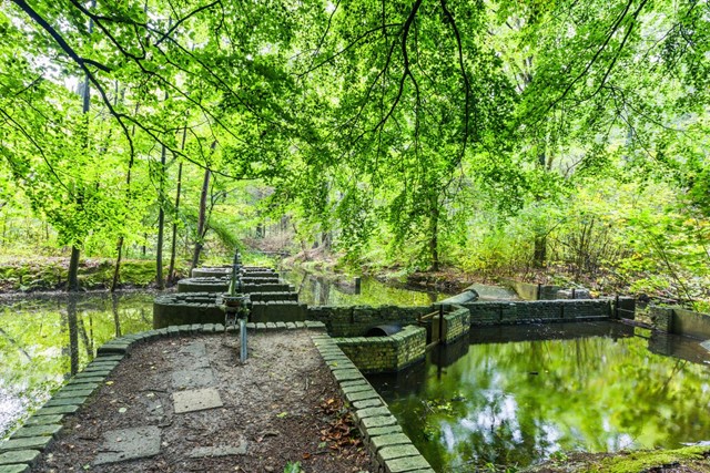Zes wandeltips tijdens Open Monumentendag; Waterloopbos