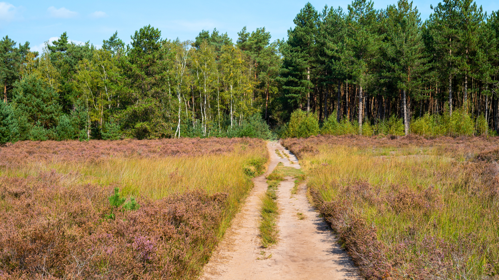Wandelroutes In Noord Brabant