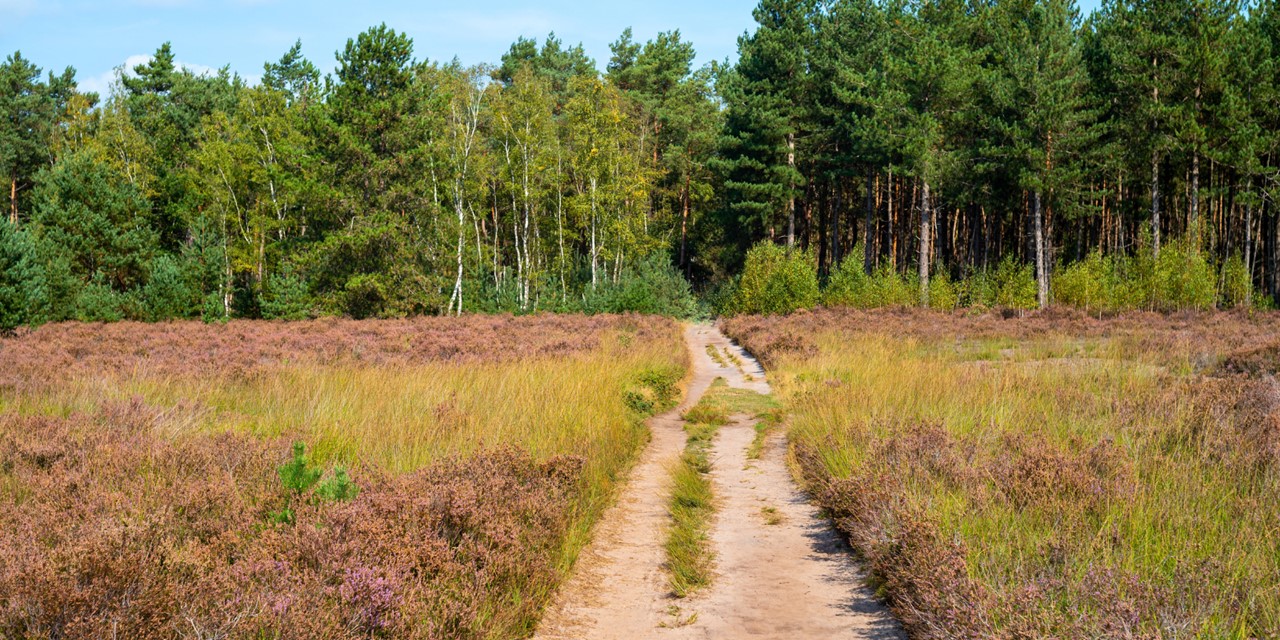 Wandelroutes In Noord Brabant