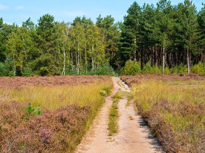 Wandelroutes In Noord Brabant