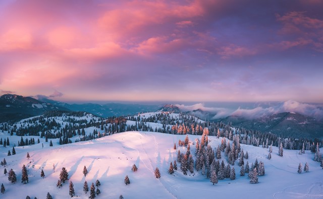 Landschap winter