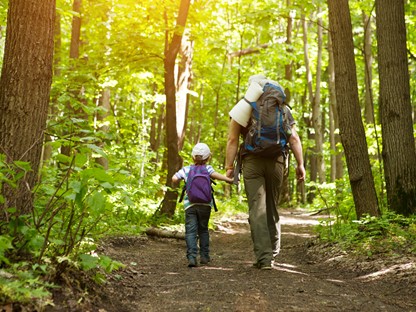 Vader Kind Wandelen In Bos