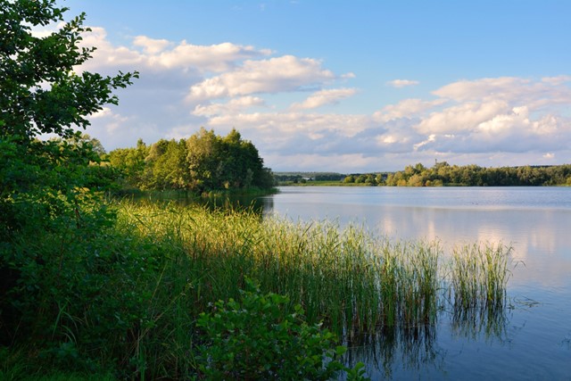 de polder met water, rietgras en wolken