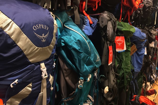 Shutterstock 675287392 Cineberg Shutterstock