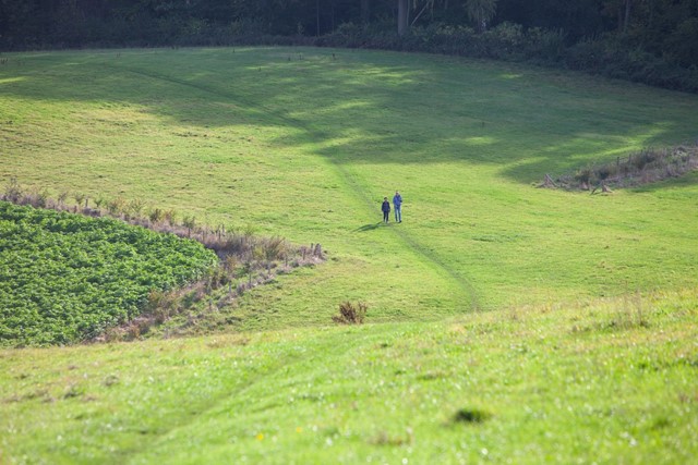 afbeelding van twee wandelaars over de heuvels bij Valkenburg.