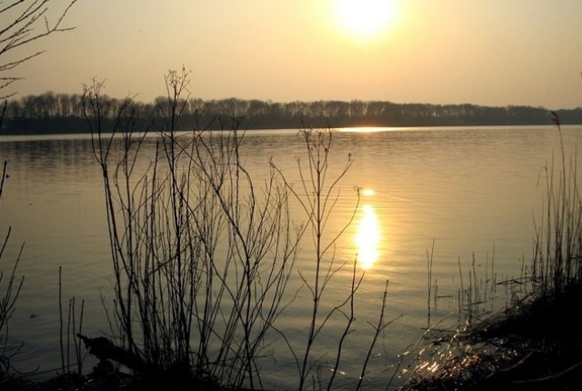 Wandelroutes In De Provincie Utrecht Maarsseveense Plassen