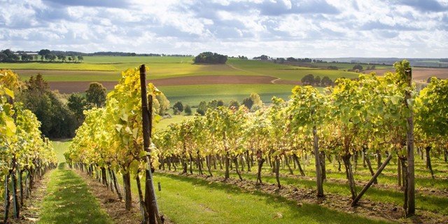 10 Wandelroutes In Zuid Limburg Wijnroute Ubachsberg