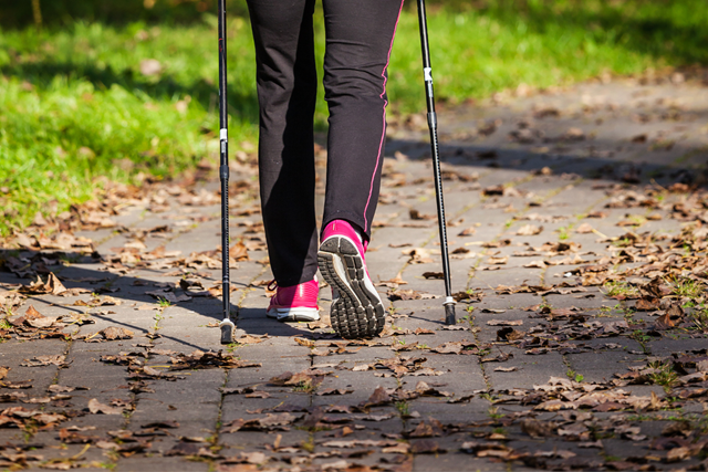 Kooptips Nordic Walking Stokken Soorten Nordic Walking Stokken