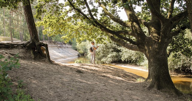 Afbeelding 1 | Twents Blokje Om: 300 kilometer aan onmeunig wandelplezier