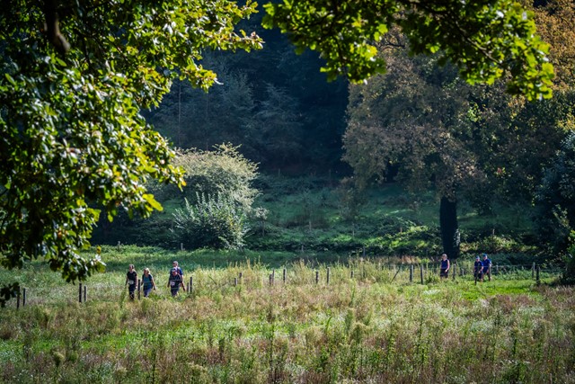 Zevenheuvelenhike