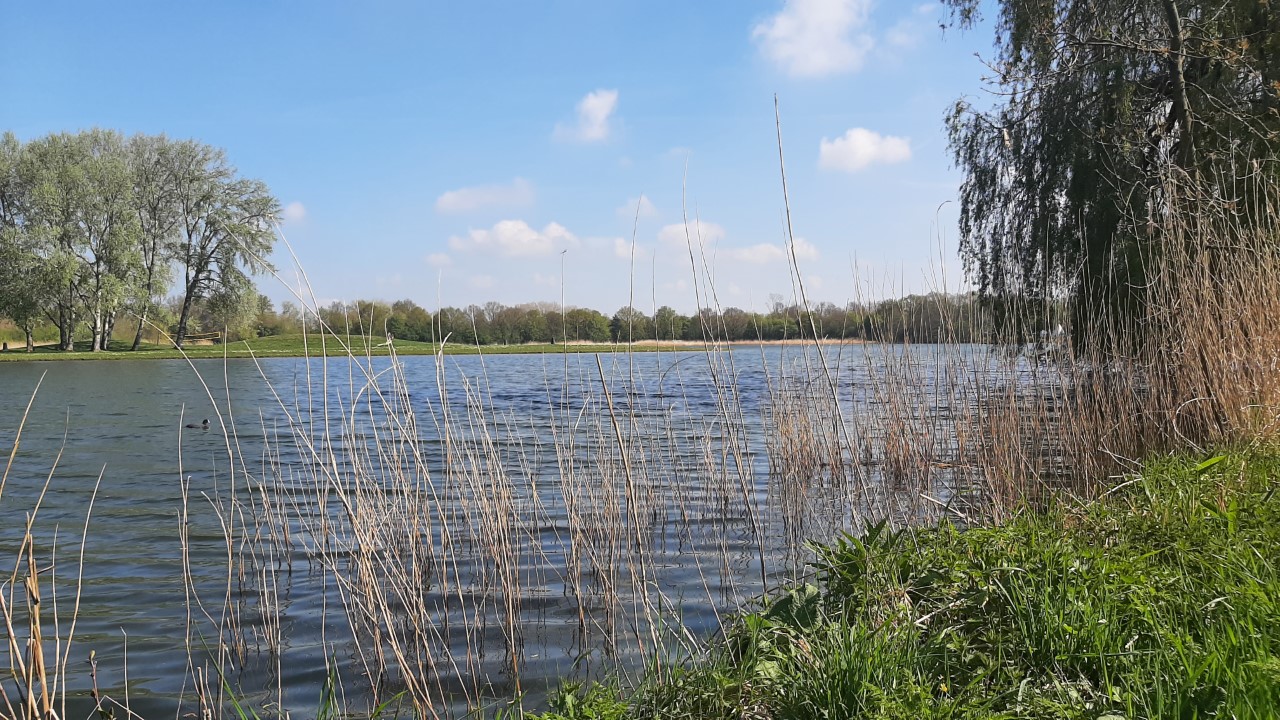 Afbeelding Het Lingebos