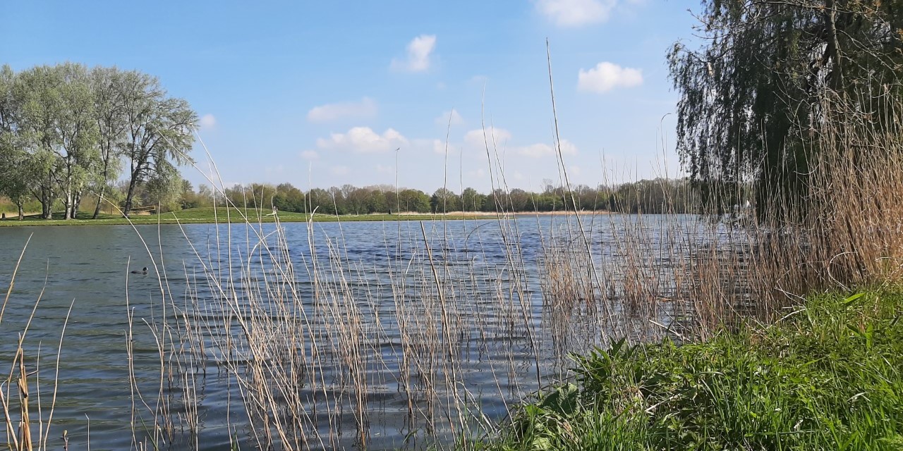 Afbeelding Het Lingebos