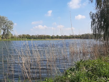 Afbeelding Het Lingebos
