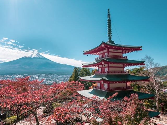 afbeelding van een tempel in Tokyo.