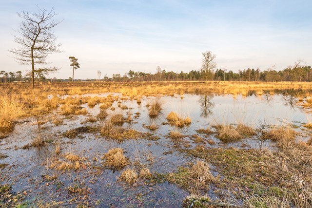 Afbeelding 3 | Wandelroutes in Noord-Brabant