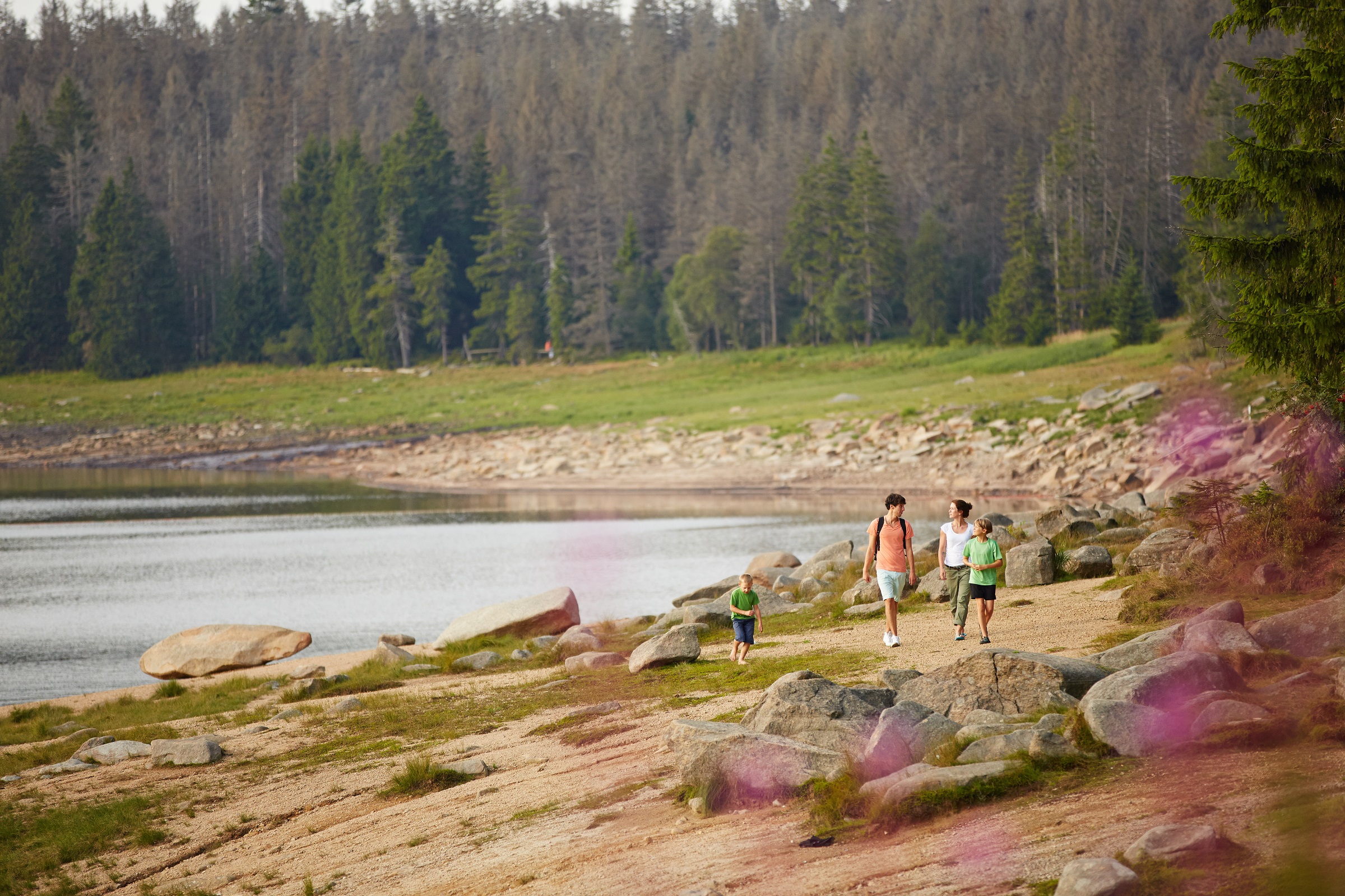 Wandelen in Duitsland: de Harz
