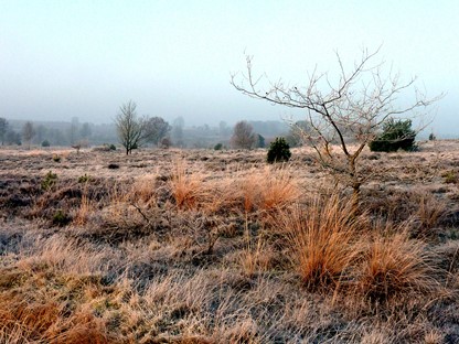 De Sallande Heuvelrug