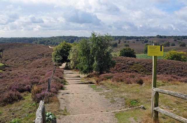 Wandelroute Het Veluwe Zwerfpad