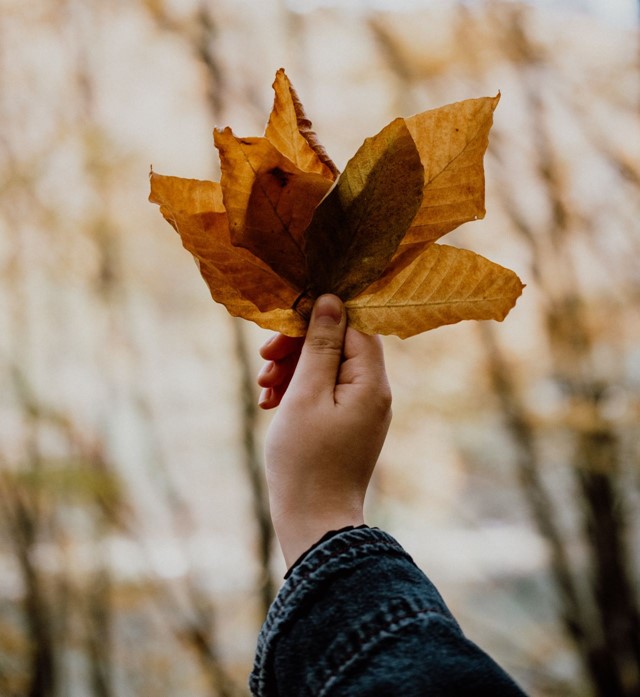 Hefst, mindful wandelen