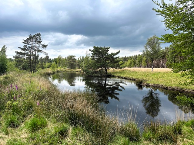 Grensland De Baronie Op Z’N Mooist Geuzenpad (2)