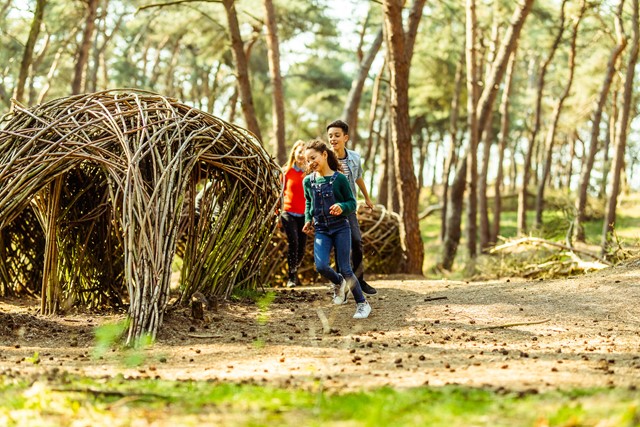Toerisme Limburg Lommel Sahara 042