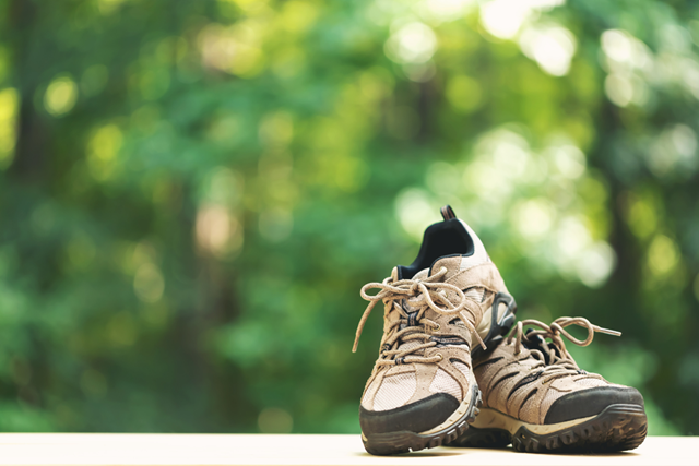 Wandelschoenen Categorie A Kopen Dit Moet Je Weten Verschillende Soorten Wandelschoenen