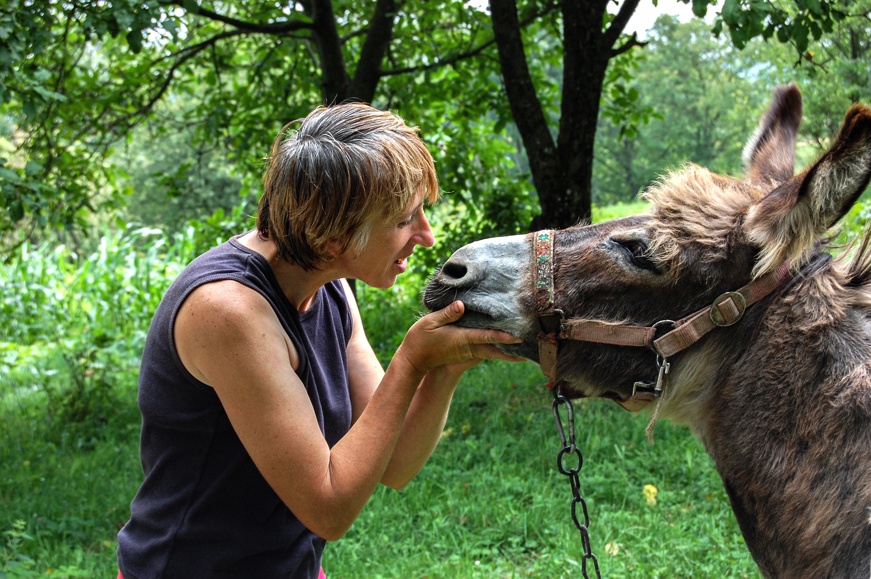 Hier Moet Je Zijn Voor Een Ezelwandeling: Ezel vrouw