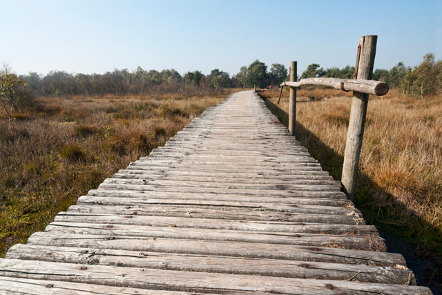 Wandelroute Nationaal Park De Groote Peel Meerbaansblaak Peelboerderij