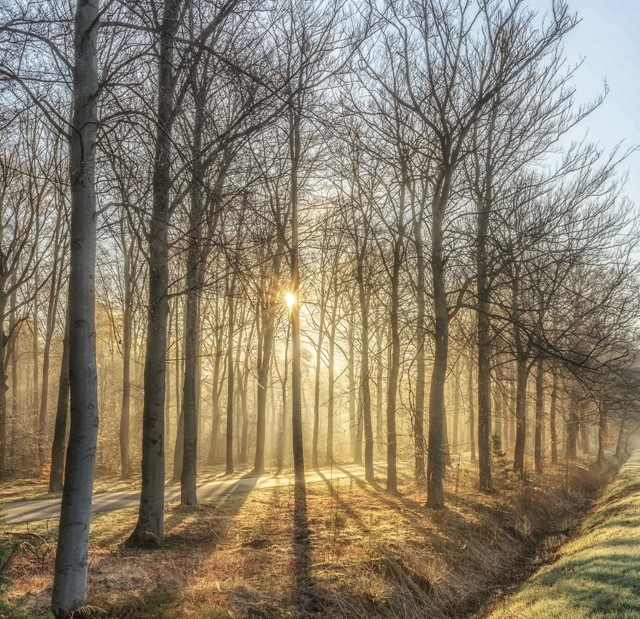 Landgoed Staverden