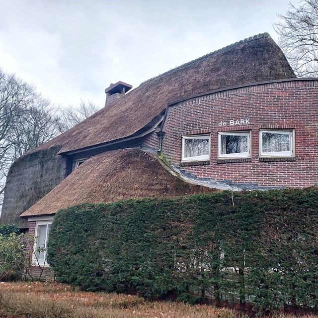 villa De Bark met rieten dak en struik