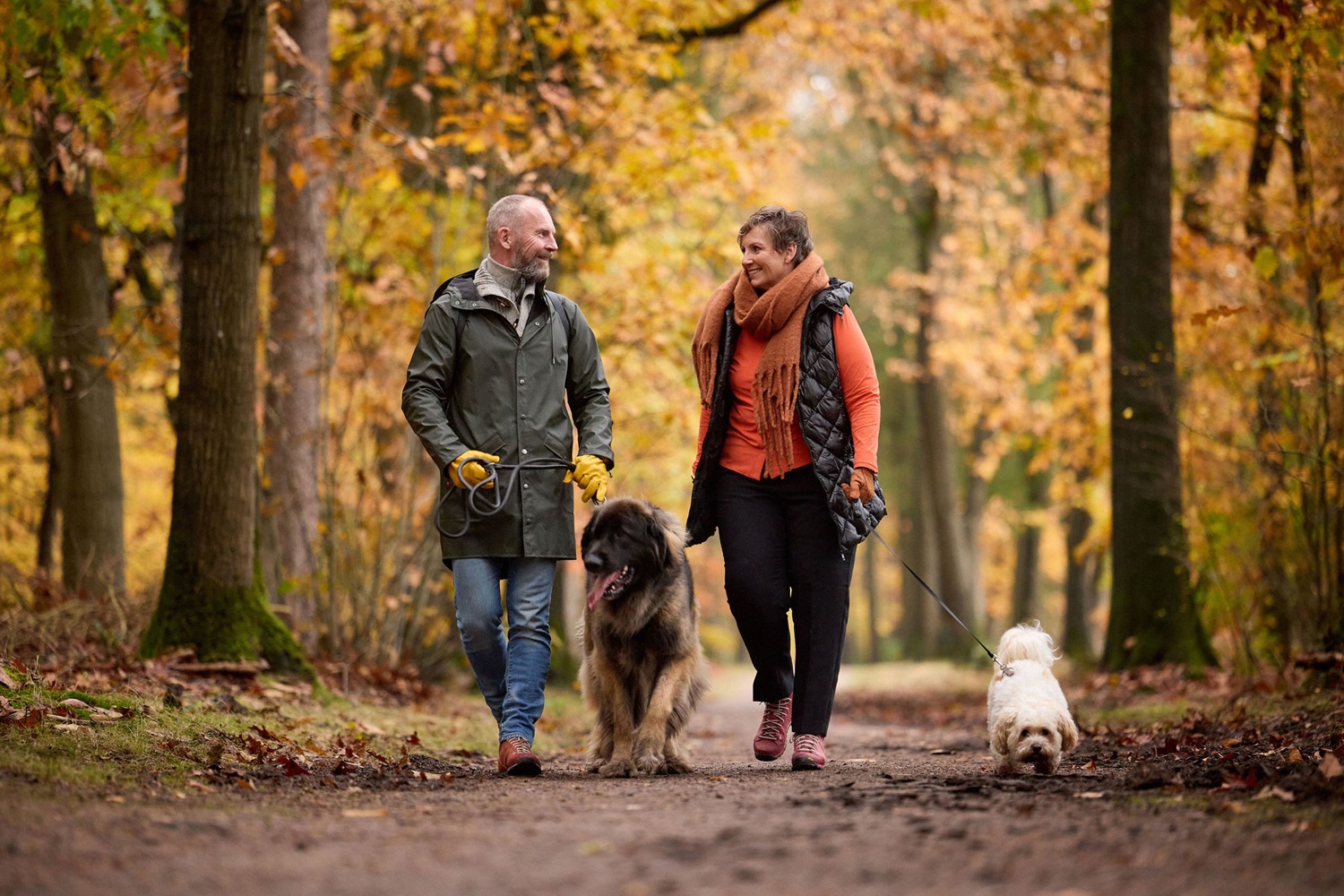 Herfstwandeling mini-avontuur, RCN Vakantieparken, mensen wandelen in het bos met honden