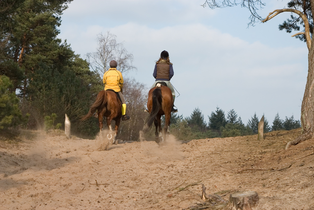 Wandelroute Soesterduinen Lange Duinen Lange Duinen
