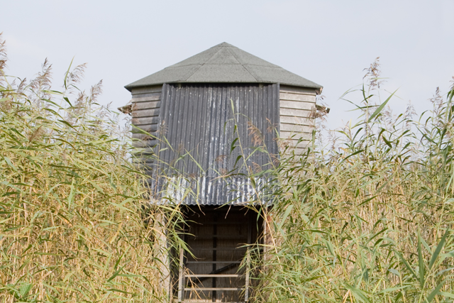 Wandelroute Naardermeer Laarzenpad Vogelkijkhut Naardermeer