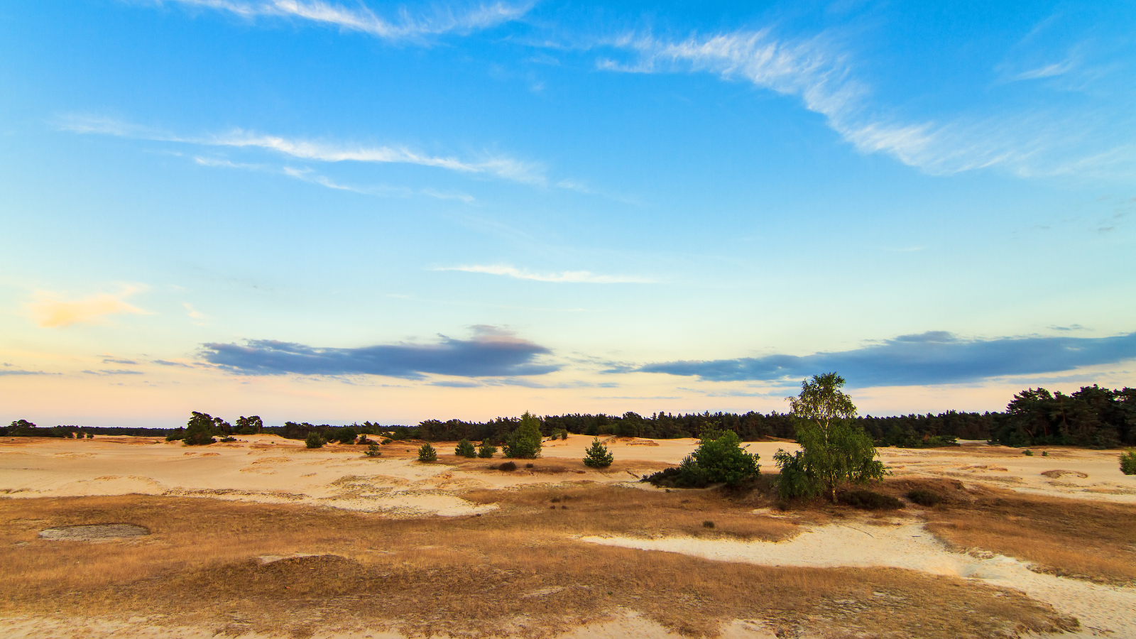 Wandelroute Veluwe Boswachterspad Kootwijk