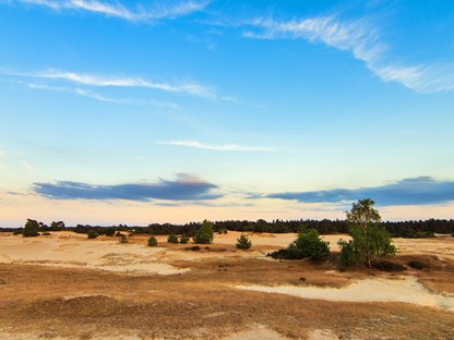 Wandelroute Veluwe Boswachterspad Kootwijk