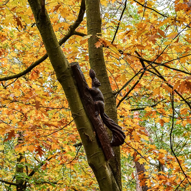 Bosland het grootste avonturenbos van Vlaanderen: houten eekhoorn in herfstbos.