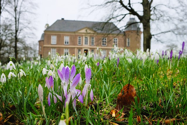 Stinzenplanten en Kasteel Hackfort