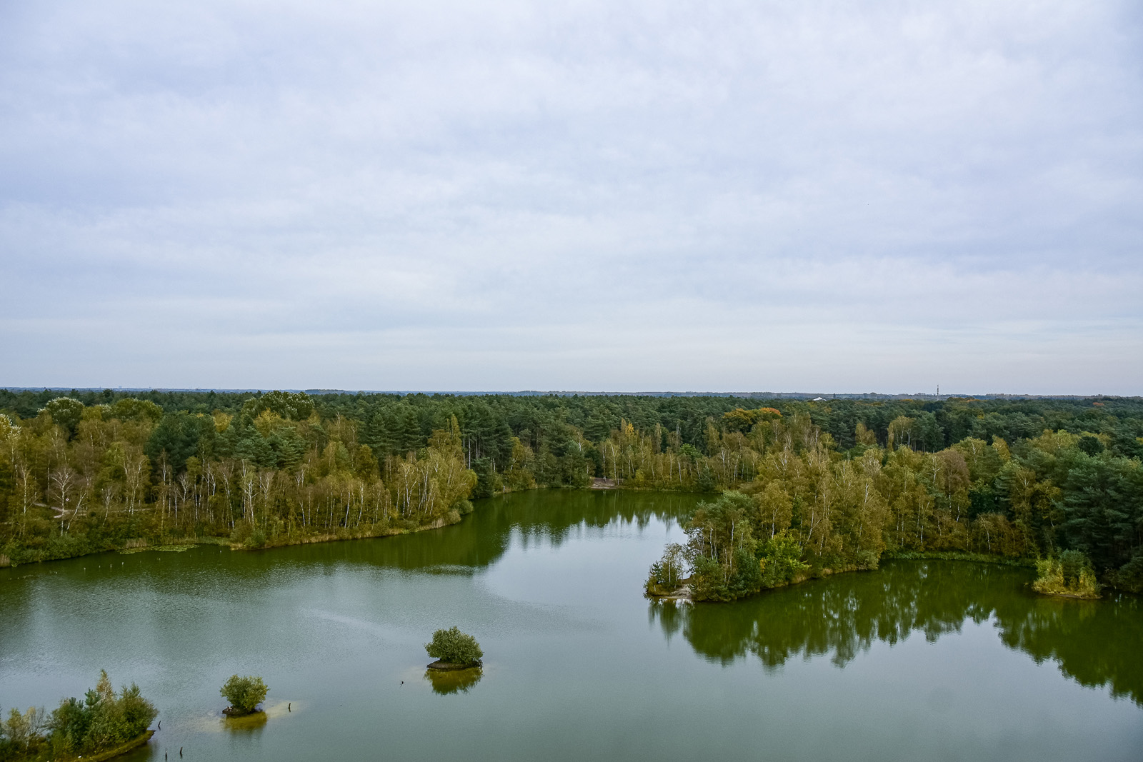 Bosland het grootste avonturenbos van Vlaanderen: uitzicht over water en bos.
