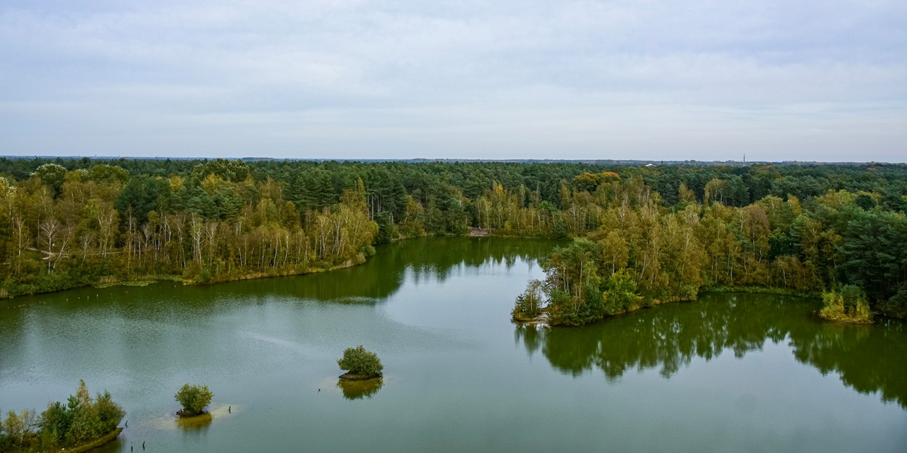 Bosland het grootste avonturenbos van Vlaanderen: uitzicht over water en bos.