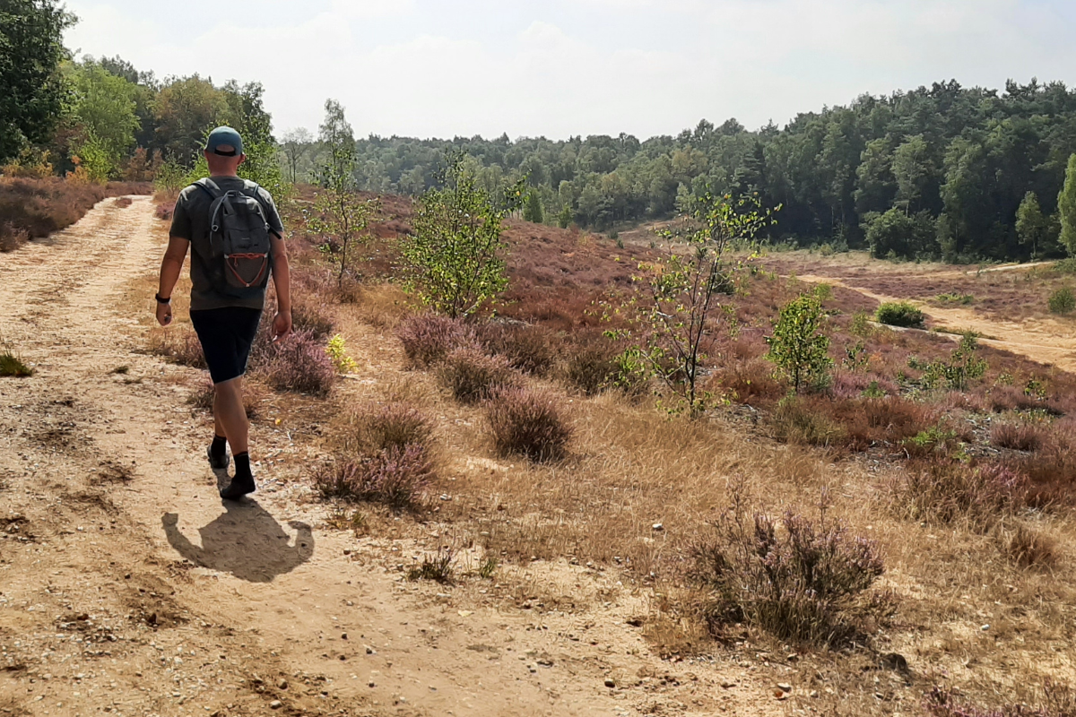 Evert Trainen 1