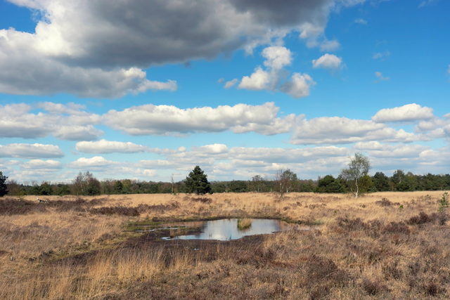 Het Dommelpad Watermolenroute Etappe 2 Pelt Dommelen De Malpie